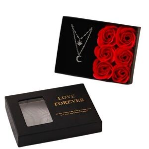 Silver and Red Chevron Necklace Gift Set